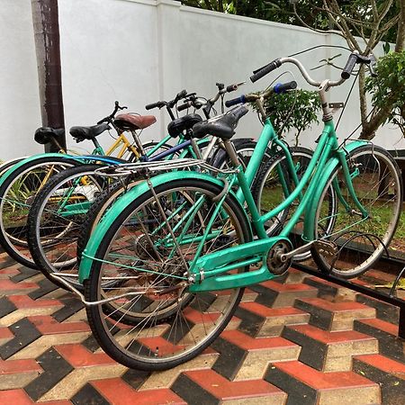 Elephant Eye Hotel Tissamaharama Ngoại thất bức ảnh
